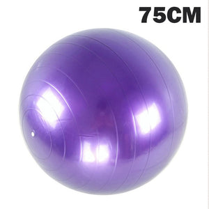 Sports Pilates Fitness Gym Balance Fitball